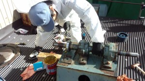 作業中 (11) 作業中 (11)